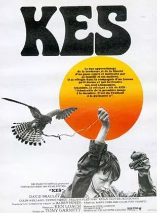 Affiche du film Kes