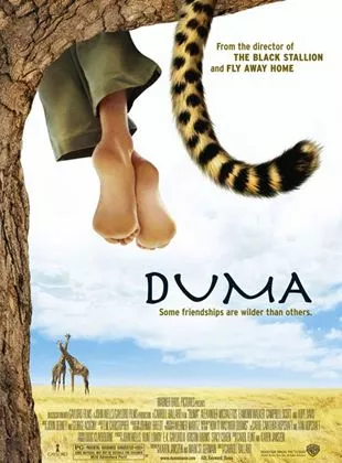 Affiche du film Duma