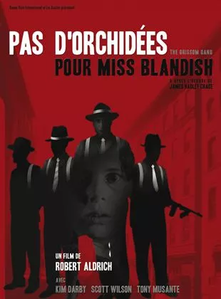 Affiche du film Pas d'orchidées pour Miss Blandish