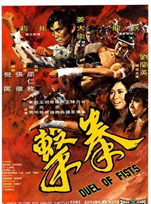 Affiche du film Duel of Fists