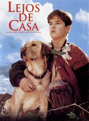 Affiche du film Compagnons d'aventure