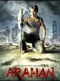 Affiche du film Arahan