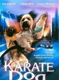 Affiche du film Karaté Dog