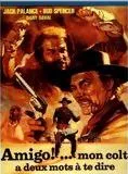 Affiche du film Mon colt a deux mots à te dire