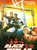 Affiche du film Black Ninja