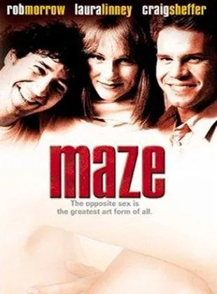 Affiche du film Maze
