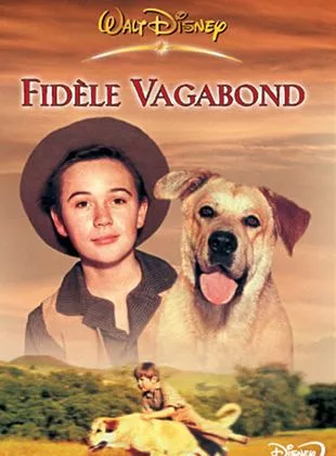 Affiche du film Fidèle vagabond
