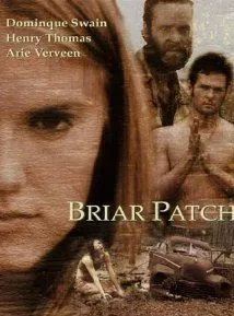 Affiche du film Briar patch