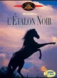 Affiche du film L'Etalon noir