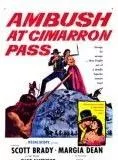 Affiche du film Le Cri de guerre des Apaches