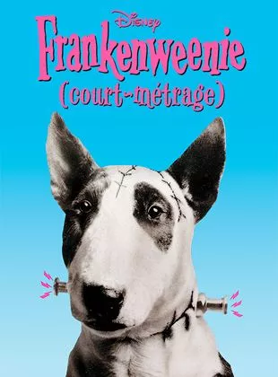 Affiche du film Frankenweenie - Court Métrage