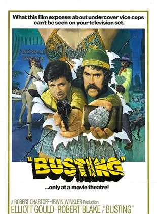 Affiche du film Les Casseurs de gangs