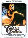 Affiche du film Turkish delices