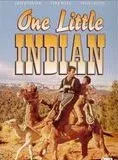Affiche du film Un Petit Indien