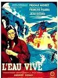 Affiche du film L'Eau vive