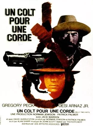 Affiche du film Un Colt pour une corde