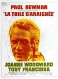 Affiche du film La Toile d'araignée