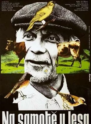 Affiche du film A l'orée de la forêt