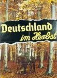 Affiche du film L'Allemagne en automne