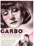 Affiche du film Le Voile des Illusions