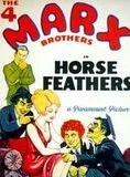 Affiche du film Plumes de cheval