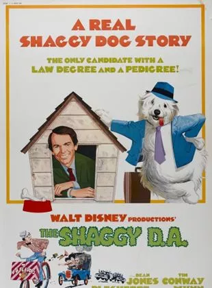 Affiche du film Un candidat au poil