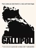 Affiche du film Gallipoli
