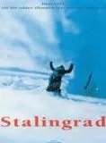 Affiche du film Stalingrad