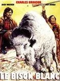 Affiche du film Le Bison blanc