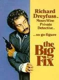 Affiche du film The Big Fix