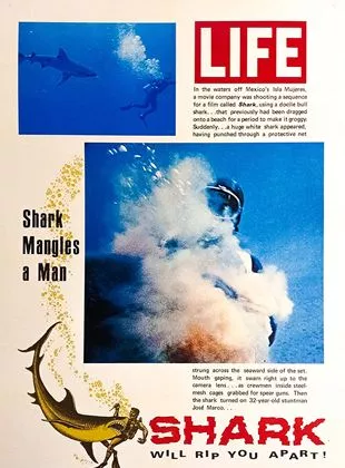 Affiche du film Shark