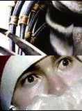 Affiche du film Père Noël vs. Predator - Court Métrage