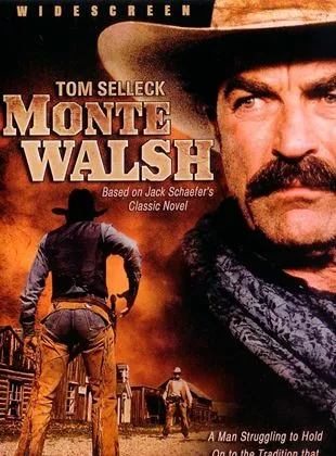 Affiche du film Le Dernier Cow-boy