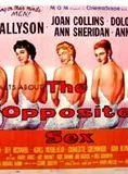 Affiche du film The Opposite Sex