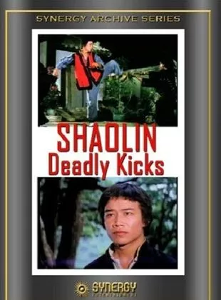 Affiche du film Shaolin contre les 8 serpents