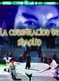 Affiche du film La Conspiration de Shaolin