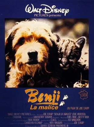 Affiche du film Benji la malice