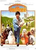Affiche du film Au bonheur des chiens