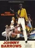 Affiche du film Johnny Barrows