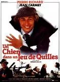 Affiche du film Un Chien dans un jeu de quilles