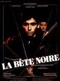 Affiche du film La Bête noire