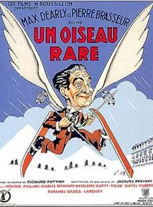 Affiche du film Un Oiseau rare