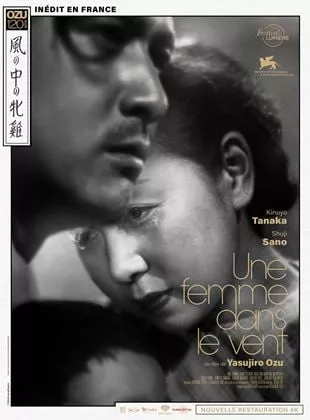 Affiche du film Une femme dans le vent Affiche du film Une femme dans le vent