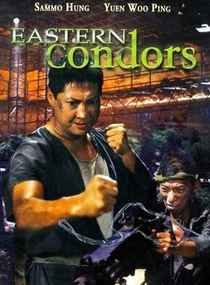 Affiche du film Eastern Condors