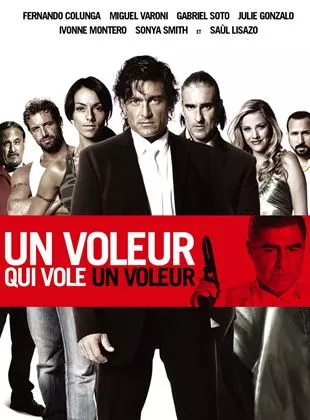 Affiche du film Un voleur qui vole un voleur