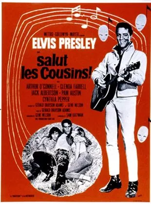 Affiche du film Salut les cousins !