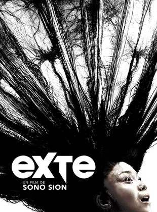 Affiche du film Exte