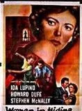 Affiche du film L'Araignée