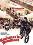 Affiche du film Le jackpot de Noël