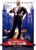 Affiche du film Un prince à New York